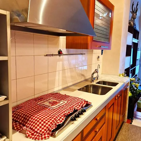 Casa Carina Daire *